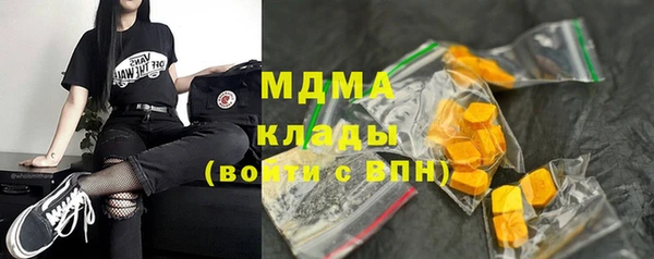дживик Богородск