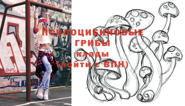 экстази Богородицк