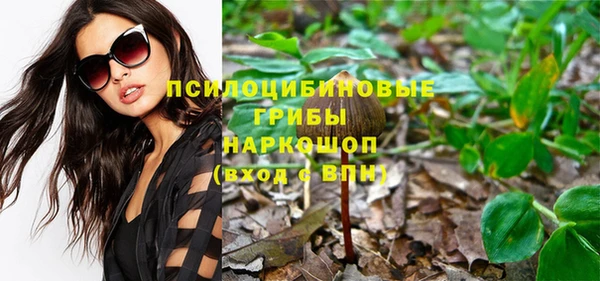дживик Богородск