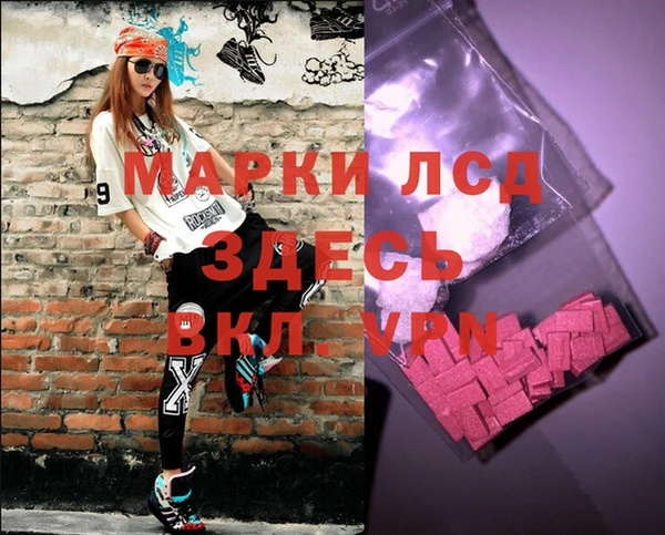 дживик Богородск