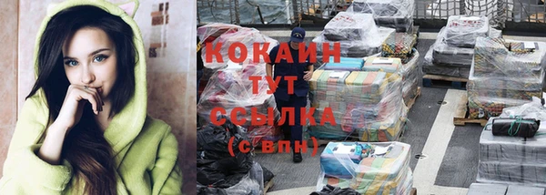 дживик Богородск