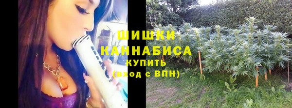 дживик Богородск