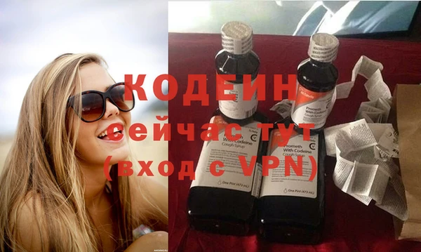 дурь Богданович