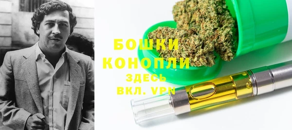дживик Богородск