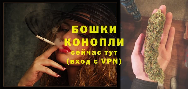 дурь Богданович