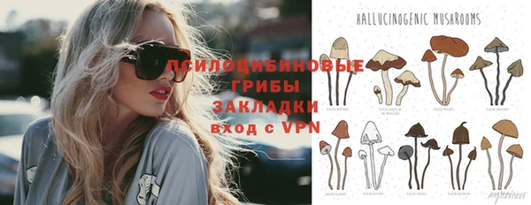 экстази Богородицк