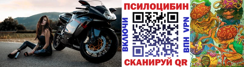 Галлюциногенные грибы прущие грибы  где можно купить   Грозный 